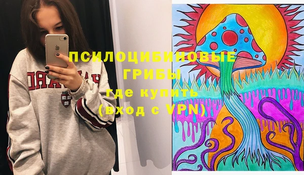 PSILOCYBIN Зеленокумск