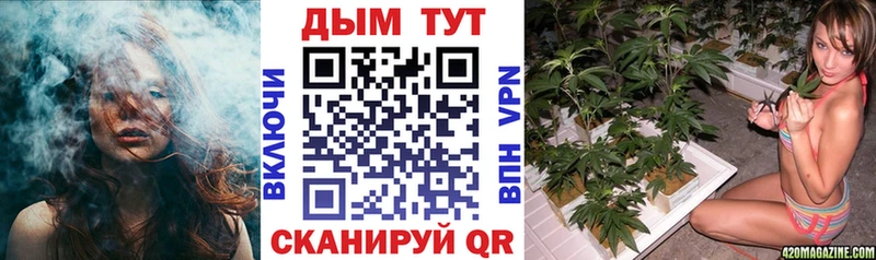 Шишки марихуана марихуана  Нефтекамск 